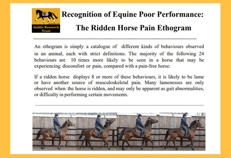 Pain Ethogram